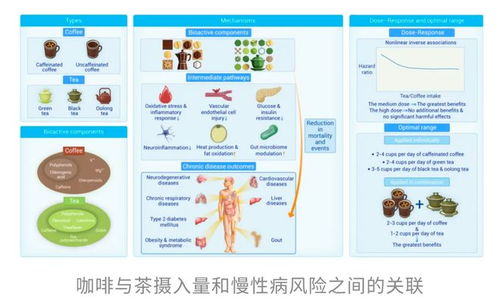 咖啡與茶再添“續(xù)命”實(shí)錘 哈佛研究揭示健康長壽的秘密
