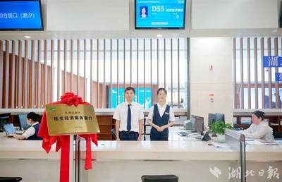 光谷開設全國首個低空經濟服務窗口 降本增效的新引擎