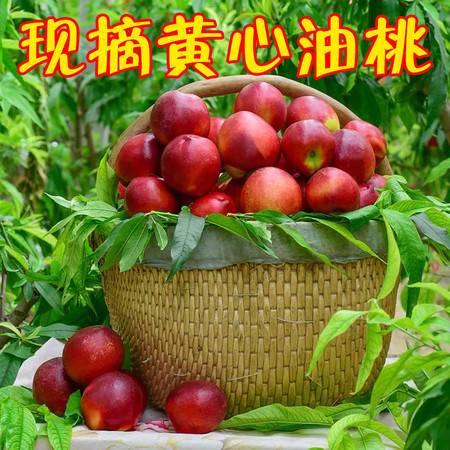 現摘當季時令新鮮水果黃油桃3斤包郵 非水蜜非毛桃，這才是夏天的甜蜜滋味